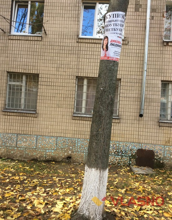 політична агітація у день виборів у Вінниці фото 