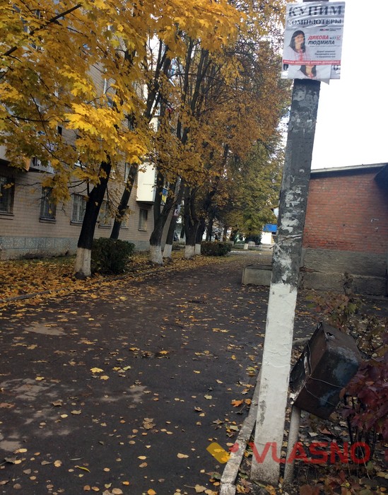 політична агітація у день виборів у Вінниці фото 