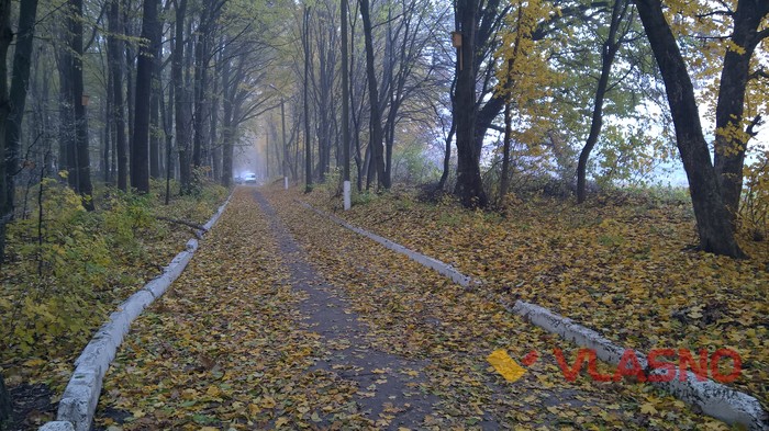 Лісопарк у Вінниці фото