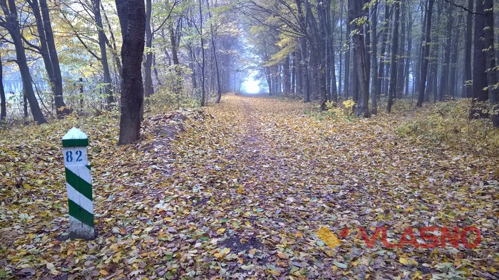 Лісопарк у Вінниці фото