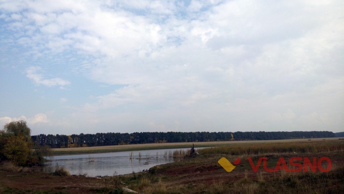 пасовище у Михайлівці фото