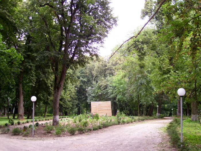 Олександрівський парк фото