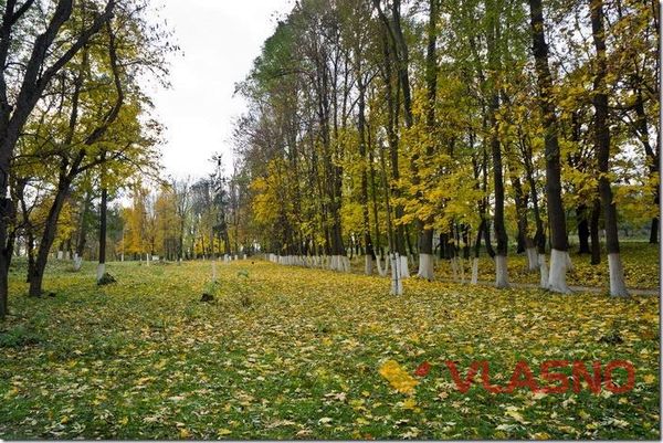 antopilskyy-park-2