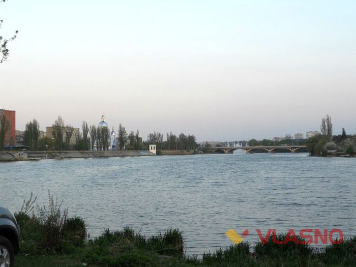 качки на річці фото