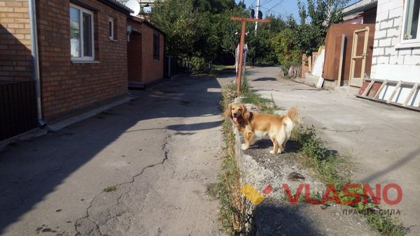 вінниця вулиця фото