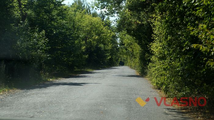zeleniy-tunel-2