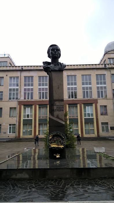 Паркан вінницького палацу дітей та юнацтва виготовили з відходів