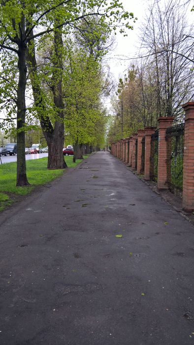 Паркан вінницького палацу дітей та юнацтва виготовили з відходів