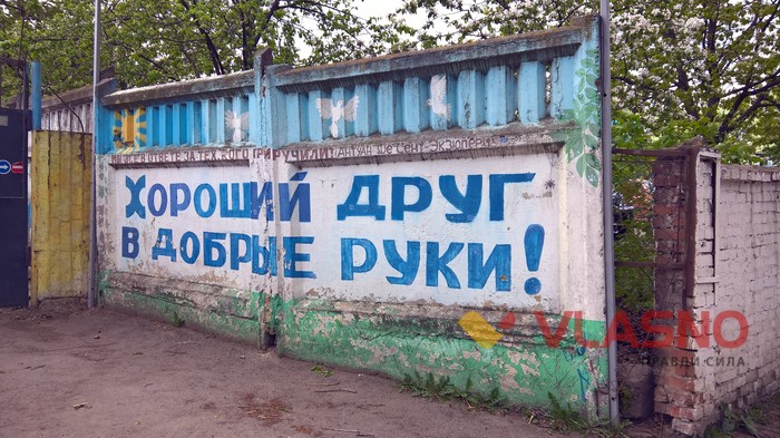 притулок для собак у Вінниці фото