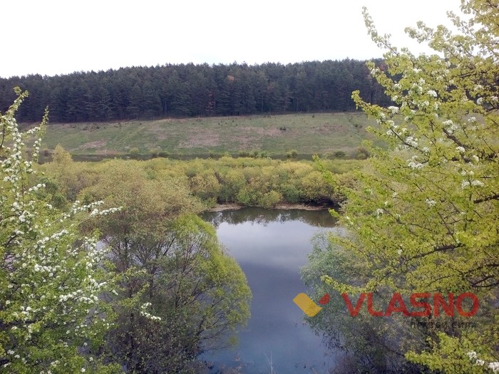 село Сосни фото