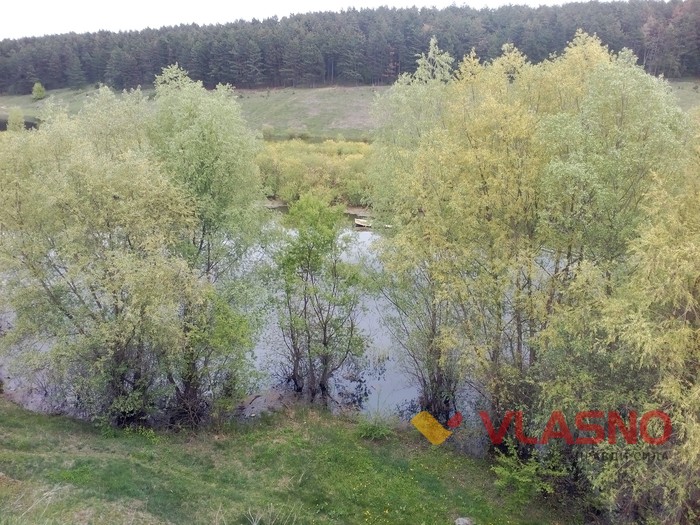село Сосни фото