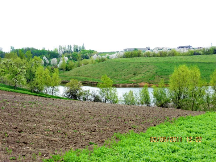 село Зятківці фото
