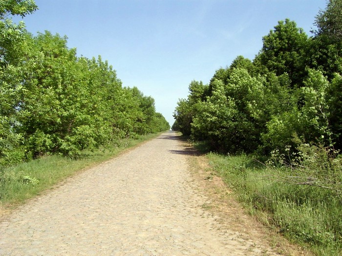 село Сільниця фото