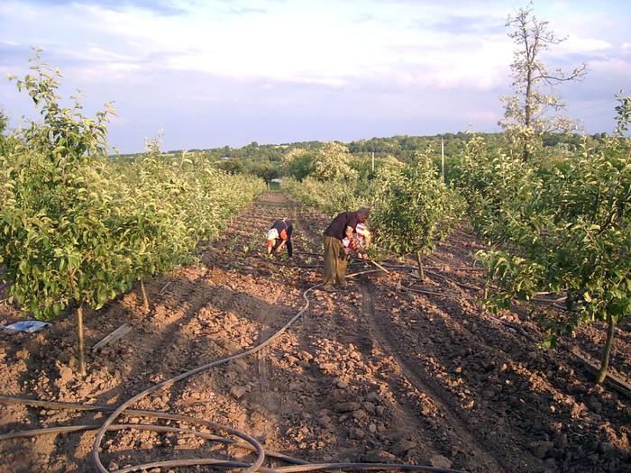 село Сільниця фото