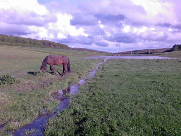 село Руданське фото