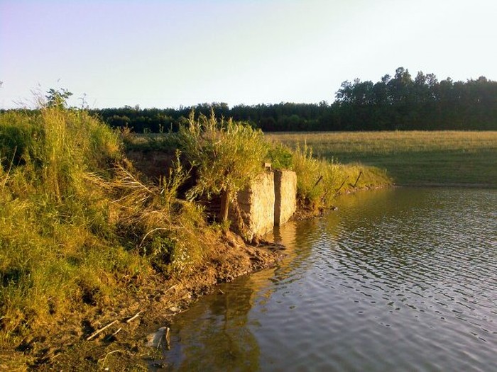село Руданське фото