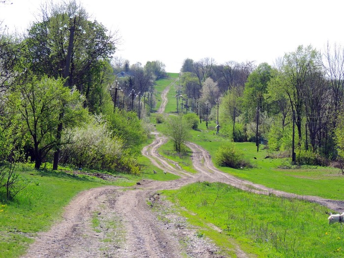 Скоморошки фото