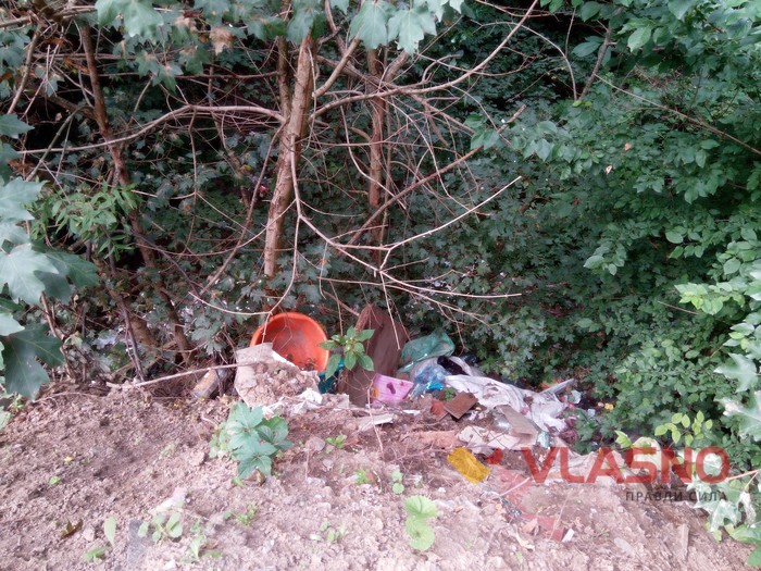 Стрижавські смітники фото