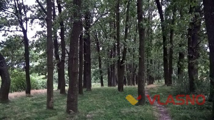 літин фото