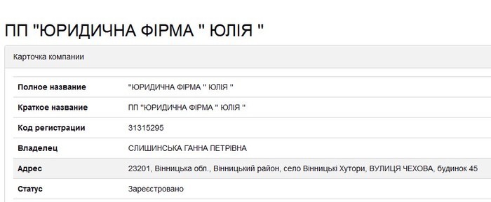 декларація Володимира Слишинського фото