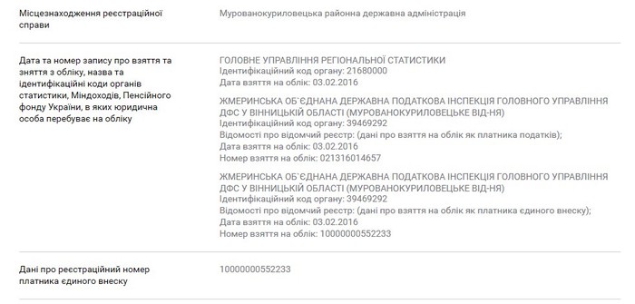 створення партії "Вінницька Європейська Стратегія" фото