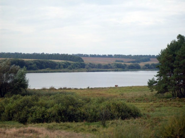 село Жерденівка фото