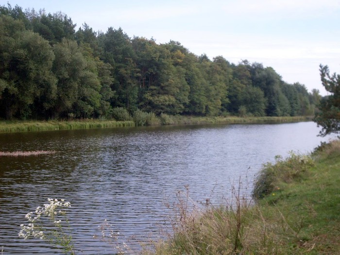 село Жерденівка фото