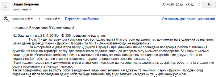 ялинки у Вінниці фото