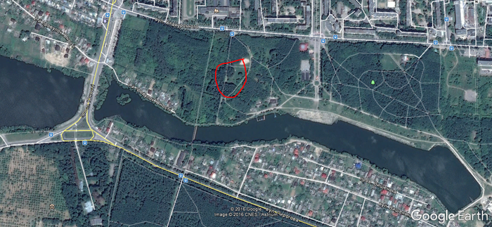 ялинки у Вінниці фото