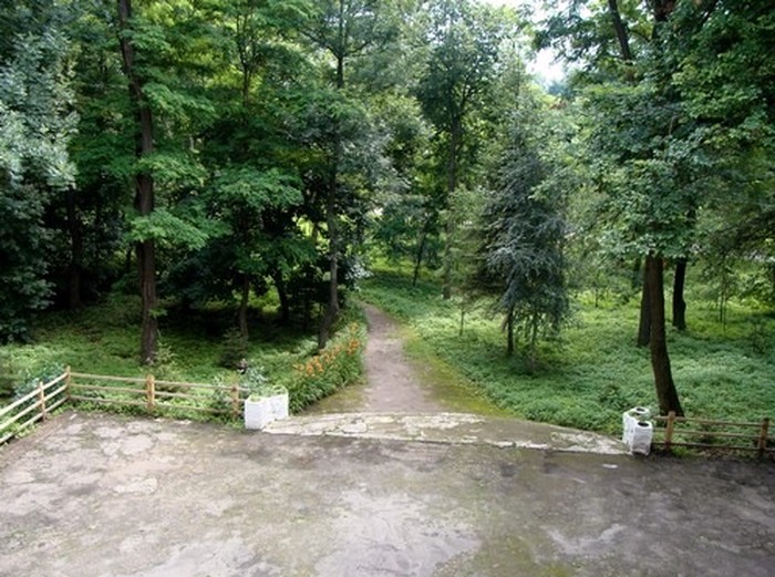 парк біля палацу у селі Турчинівка фото