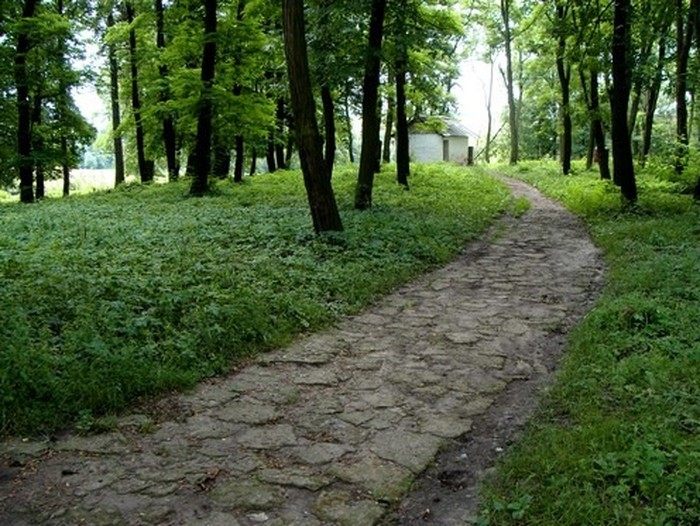 парк біля палацу у селі Турчинівка фото