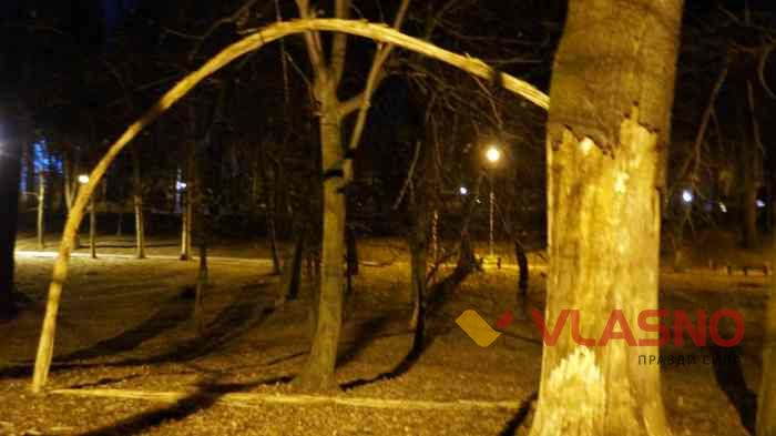 фестиваль довкілля Міфогенез фото