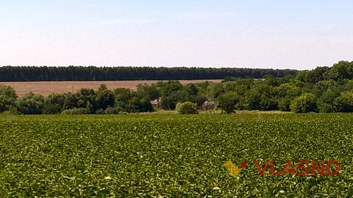 село Ксаверівка фото