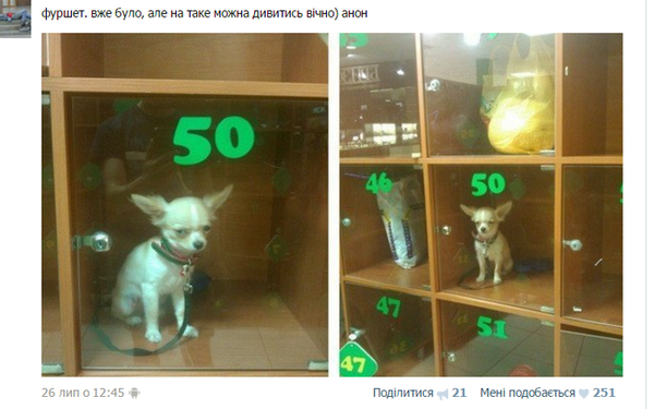 приколи у соцмережах фото