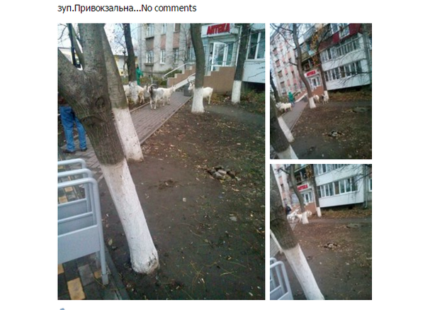 приколи у соцмережах - Привокзальна фото