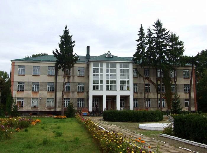 палац Потоцьких у Печері-2-фото