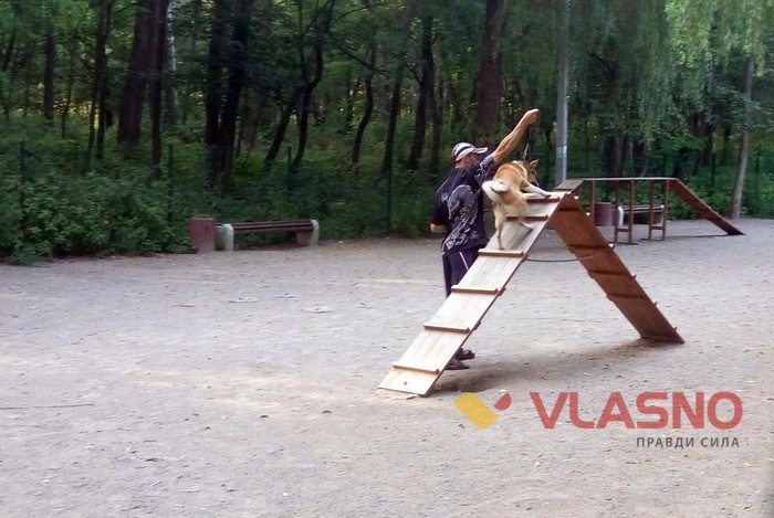 майданчик для вигулу собак фото