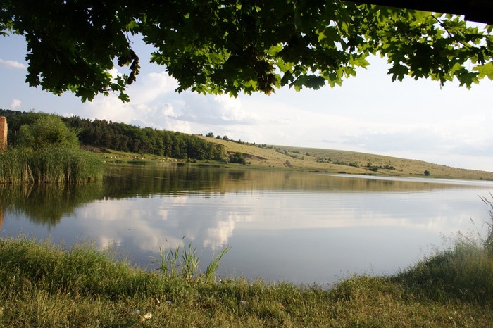 село Цибулівка фото