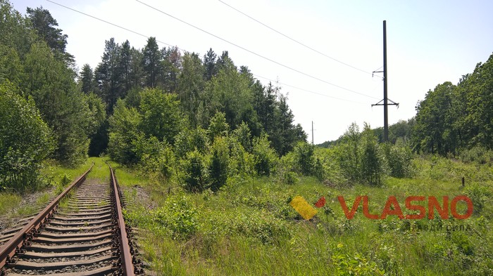 залізниця у вінницькому лісі фото
