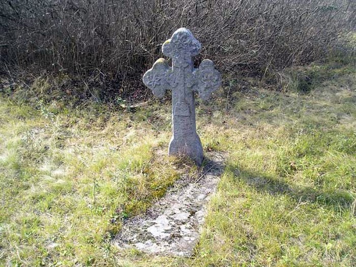 козацький цвинтар у Буші фото