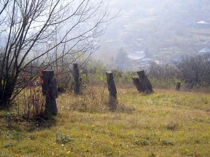 козацький цвинтар у Буші фото