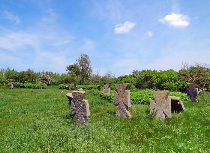 козацький цвинтар у Буші фото