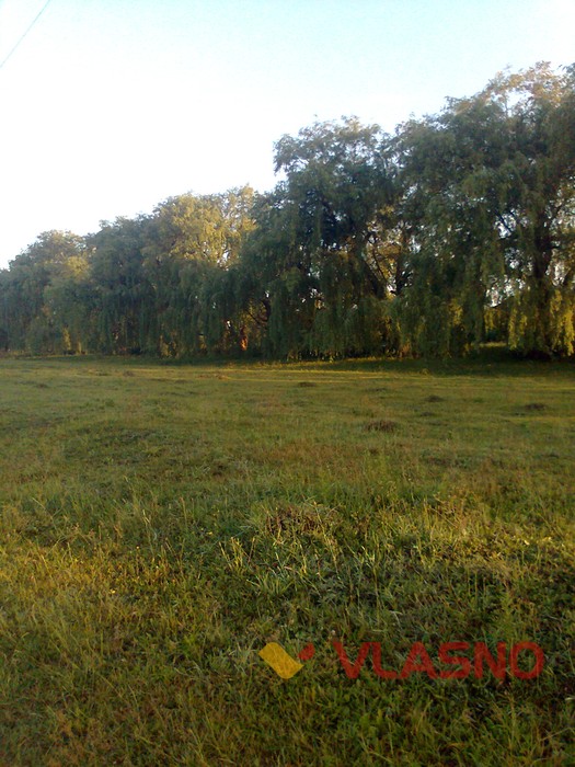 село Пустовійти фото