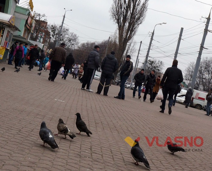 вінницькі валютники фото