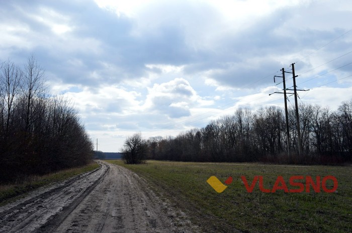 вінницька вузькоколійна залізниця фото