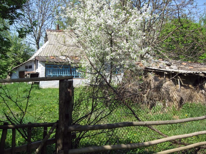 село Григорівка фото