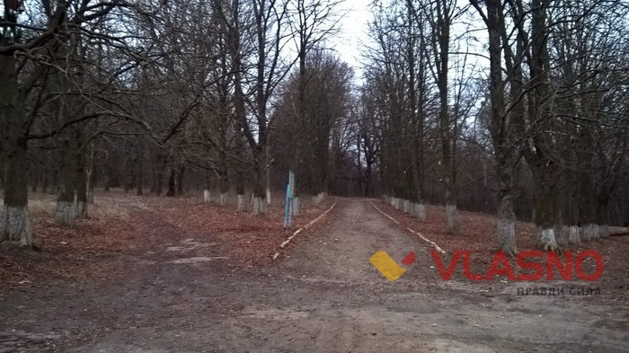 палац у Чернятині фото