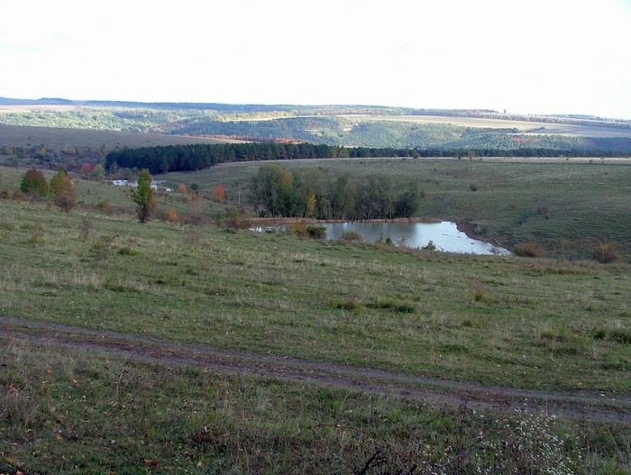 село Лучинець фото