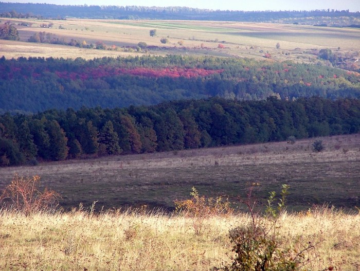 село Лучинець фото