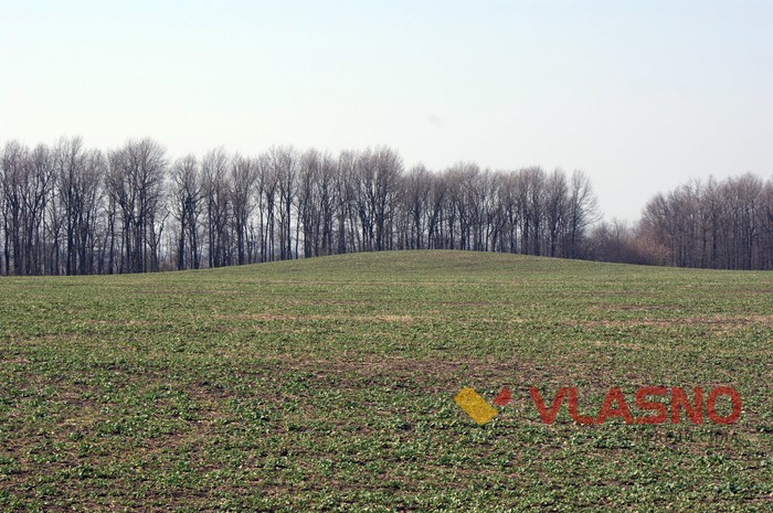 кургани у селі Тростянчик фото